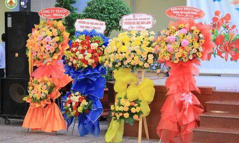 Nỗi đau của hoa