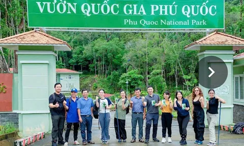 Vườn Quốc Gia Phú Quốc – Lá phổi xanh chào đón bạn bè APEC
