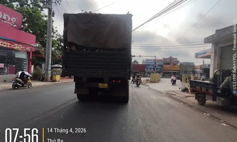 Ghi nhận về tình trạng phương tiện vận tải có dấu hiệu vi phạm tải trọng trên tuyến đường 757 qua xã Long Hà  tỉnh Đồng Nai.