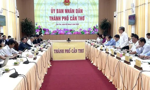 Cần Thơ hướng tới Kinh Tế Xanh: Cú hích chiến lược từ dự án hợp tác tín chỉ Carbon giữa UBND thành phố và CCTPA