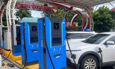 Phú Quốc (An Giang): Đưa giải pháp công nghệ xanh đến đảo ngọc