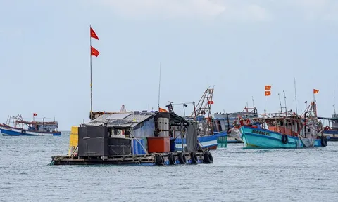 Khơi thông dòng vốn, lan tỏa tài chính số giữa đặc khu Kiên Hải, tỉnh An Giang