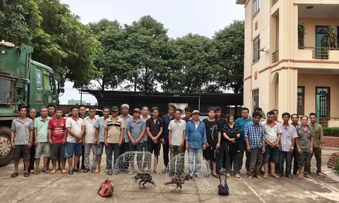 Gia Lai: Triệt xóa tụ điểm đá gà ăn tiền quy mô lớn, bắt giữ 31 đối tượng