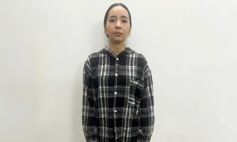 Gia Lai: Lật tẩy thủ đoạn giả danh nhân viên ngân hàng, lừa đảo sinh viên vay tiền qua ứng dụng điện tử