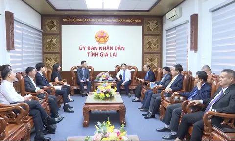 Gia Lai hướng tới mô hình khu công nghiệp xanh và quản trị ESG