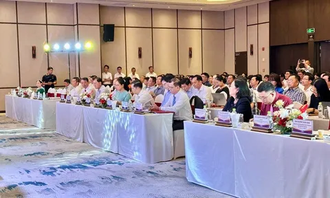 Cần Thơ tìm giải pháp bứt phá, nâng cao Chỉ số Đổi mới sáng tạo (PII) giai đoạn 2026 – 2030