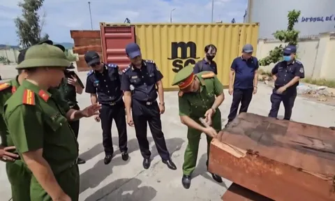 Khởi tố vụ án buôn lậu hơn 1,1 tấn ngà voi tại tỉnh Gia Lai