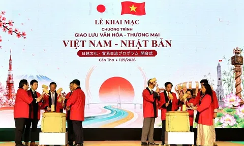 Cần Thơ tăng cường kết nối, hợp tác với Nhật Bản