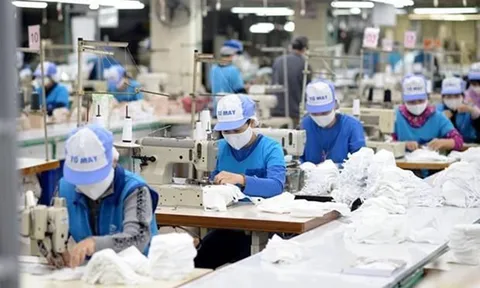 Ðể thị trường lao động phục hồi bền vững