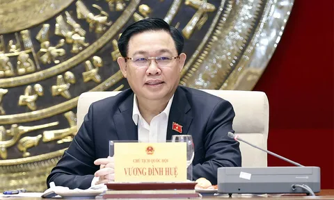 Dừng dự án điện Ninh Thuận: Chủ trương, quyết sách đúng đắn của Trung ương