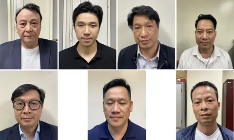 Bắt Chủ tịch Tập đoàn Tân Hoàng Minh và 06 đồng phạm