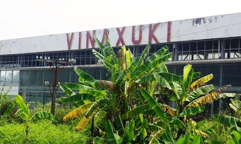 Chấm dứt "đại dự án" nhà máy ô tô nghìn tỷ đồng tại Thanh Hóa