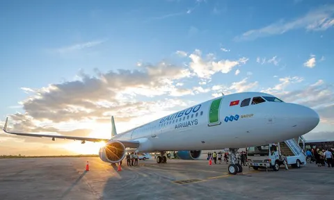 Bamboo Airways có Phó Chủ tịch mới