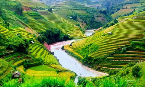 Việt Nam là địa điểm tham quan lí tưởng dành cho du khách Quốc tế.