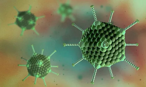 Adenovirus - tác nhân gây bệnh viêm gan bí ẩn ở trẻ?