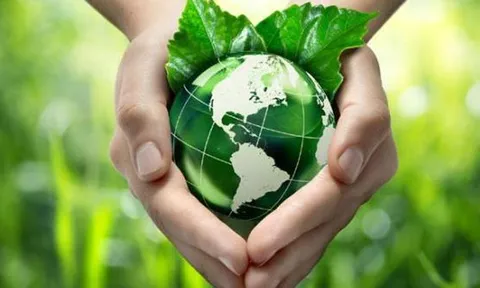 Thúc đẩy vai trò của phụ nữ trong bảo vệ môi trường, phòng chống thiên tai