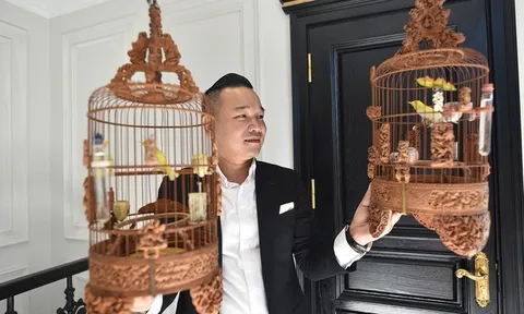 Chương Tailor đón thêm 2 chim đột biến siêu hiếm vào bộ sưu tập , dân mạng trầm trồ: Quý vật tầm quý nhân