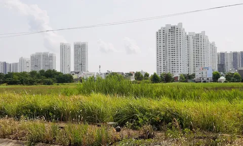 Kiến nghị đánh thuế thật cao với đất, dự án bỏ hoang