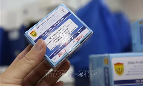 Giám đốc CDC trả lại 450 triệu đồng: Không báo cáo Thanh tra Chính phủ