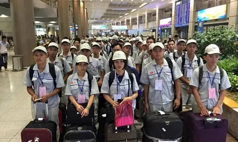 Chính phủ đồng ý thí điểm đưa lao động sang Hàn Quốc làm việc thời vụ