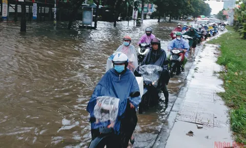 Tìm cách chống ngập lụt đô thị