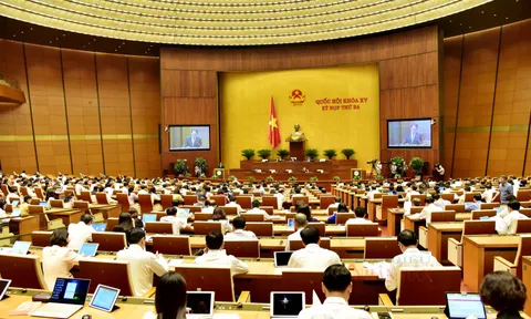 Không thu hẹp đối tượng xử phạt vi phạm hành chính trong lĩnh vực sở hữu trí tuệ