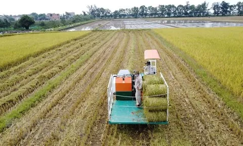 Doanh nghiệp, HTX, hộ kinh doanh được hỗ trợ lãi suất 2% mỗi năm
