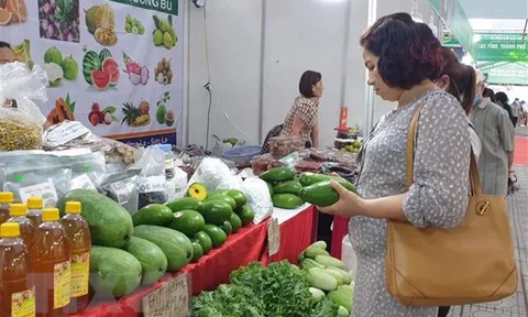 Cơ hội thưởng thức các trái cây, rau củ đặc sản vùng miền tại Hà Nội