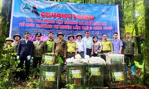 Thả 20 cá thể động vật hoang dã về rừng Hoàng Liên ở Sa Pa