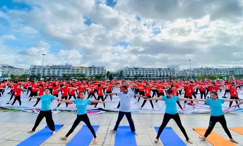 Khoảng 3.000 người tham gia Ngày Quốc tế Yoga lần thứ 8 tại Quảng Ninh