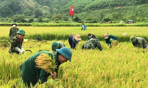 Xây dựng kinh tế gắn với chăm lo đời sống đồng bào dân tộc thiểu số