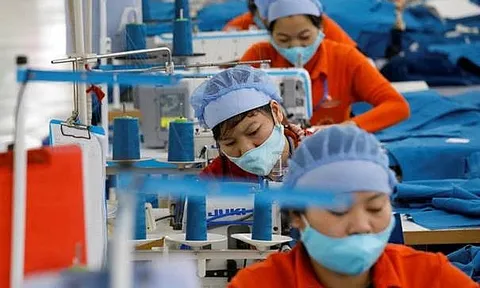 Ngày càng nhiều doanh nghiệp châu Âu lựa chọn thị trường Việt Nam