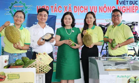 Doanh nhân Nguyễn Thị Thành Thực: Cần tích cực tạo chuỗi liên kết giúp nông gia