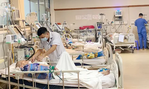 Nhiều người già xuất huyết não, viêm phổi do nắng nóng