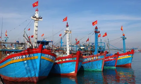 Gần một nửa tàu cá ngừng hoạt động vì giá xăng dầu cao kỷ lục
