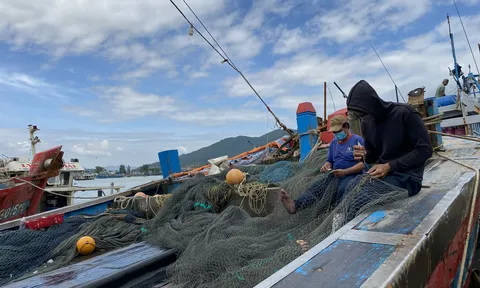 Giúp ngư dân vượt khó, vươn khơi bám biển