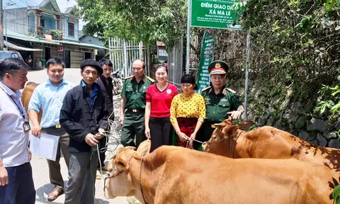 Hỗ trợ sinh kế nạn nhân bom mìn tại Hà Giang