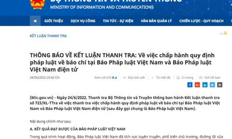Đình bản 3 tháng đối với Báo Pháp luật Việt Nam điện tử
