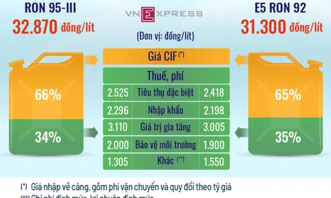 Chính phủ trình giảm thêm 1.000 đồng thuế bảo vệ môi trường với xăng