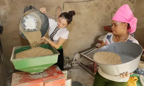 Thêm 10 triệu người được hưởng lợi từ các chính sách giảm nghèo mới