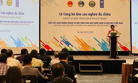 Thúc đẩy giảm nghèo nhanh và bền vững ở Việt Nam
