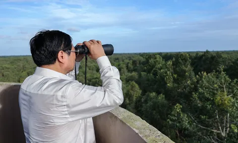 Thủ tướng khảo sát khu bảo tồn thiên nhiên độc đáo hàng đầu tại ĐBSCL