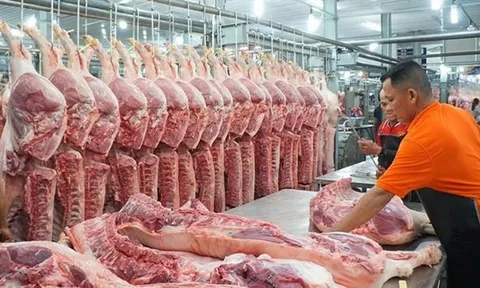 Bảo đảm cân đối cung cầu thịt lợn, bình ổn giá