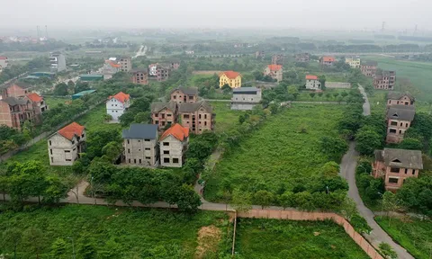 Hùa theo đấu giá để tăng giá, đất Mê Linh lại rơi vào trầm lắng