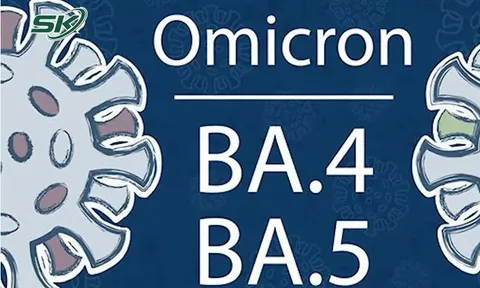 Biến thể phụ nào của chủng Omicron đang chiếm ưu thế tại Việt Nam?