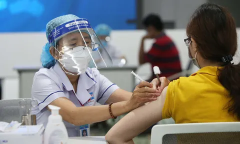 Người đã khỏi Covid-19 có bị nhiễm biến thể phụ BA.5 không?