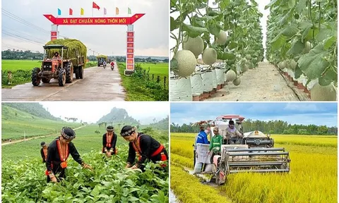 Ban Chỉ đạo Trung ương các chương trình mục tiêu quốc gia giai đoạn 2021-2025 sẽ họp trực tuyến với các địa phương