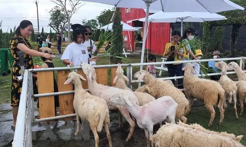 Bạc Liêu làm mới du lịch để thu hút du khách tham quan