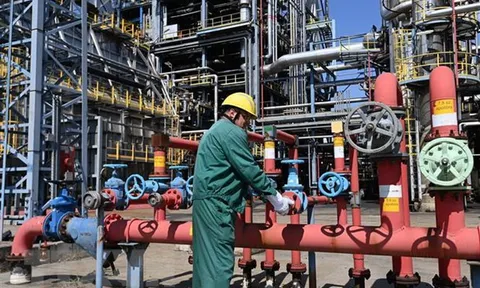EU kêu gọi người dân và doanh nghiệp giảm tiêu thụ khí đốt