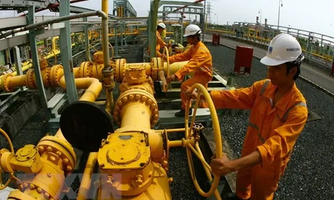 PV GAS D cần hơn 2.083 tỷ đồng vốn đầu tư giai đoạn 2022-2035